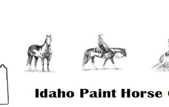 IDAHO PAINT HORSE