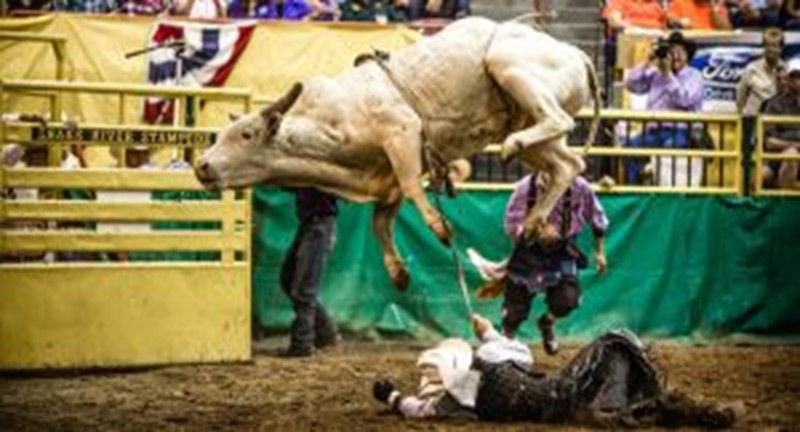 Snake River Stampede And Rodeo 300X162