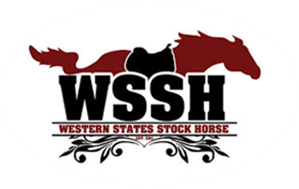 WESTERN STATE STOCK HORSES