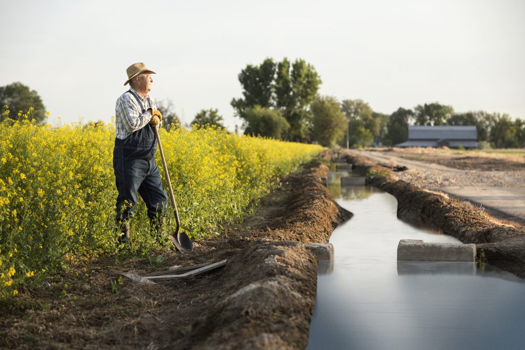 A farmer overlooking his crops in Nampa, Idaho.