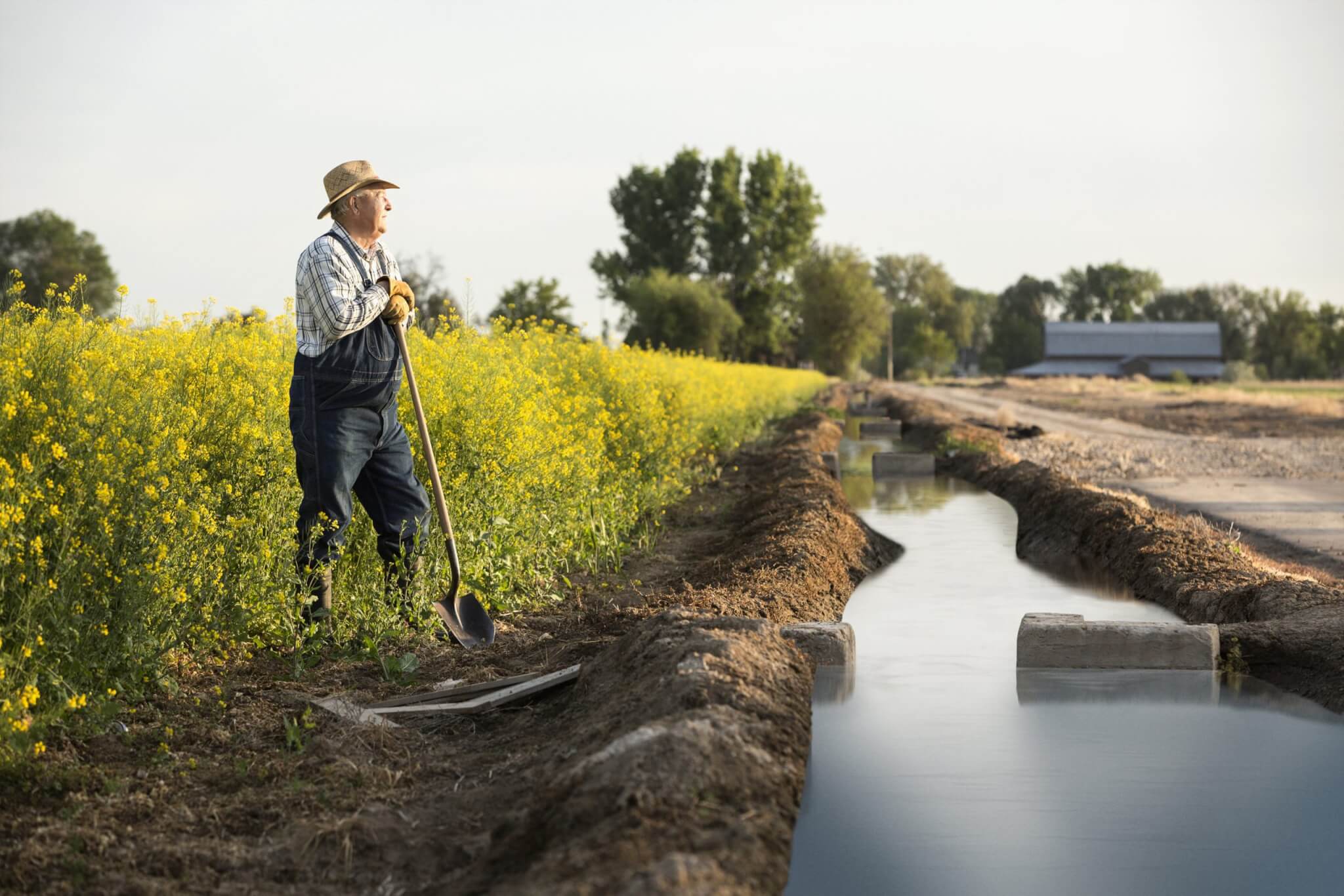 A farmer overlooking his crops in Nampa, Idaho.