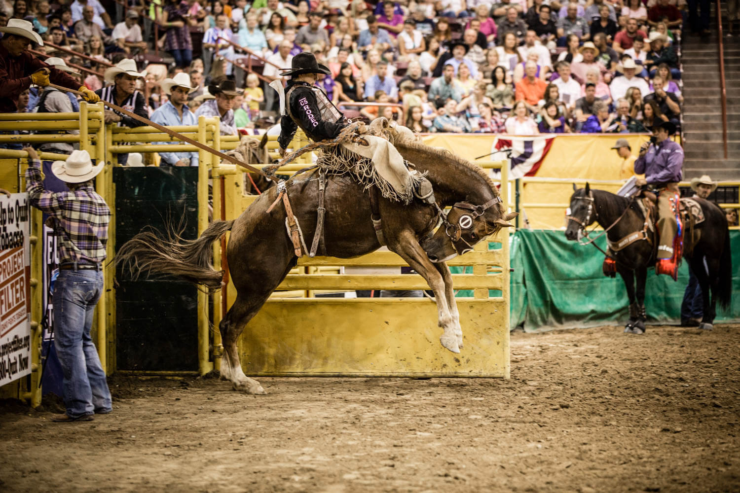 A man rides a bucking horse at the Snake River Stampede Rodeo.