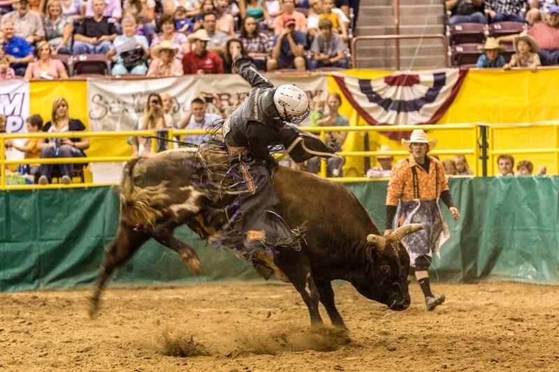 A bull rider at the Snake River Stampede Rodeo.