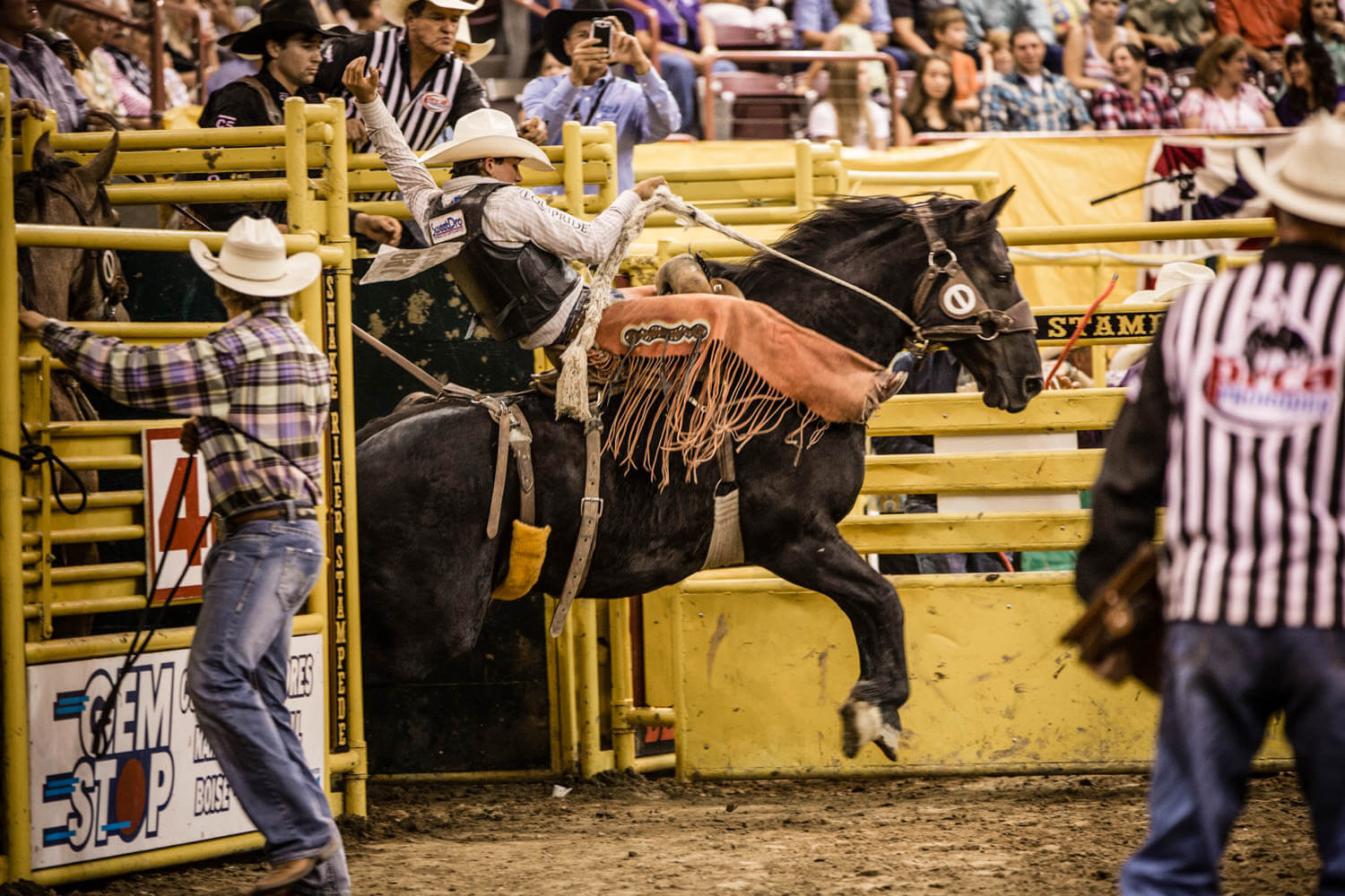 A man rides a bucking horse at the Snake River Stampede Rodeo.