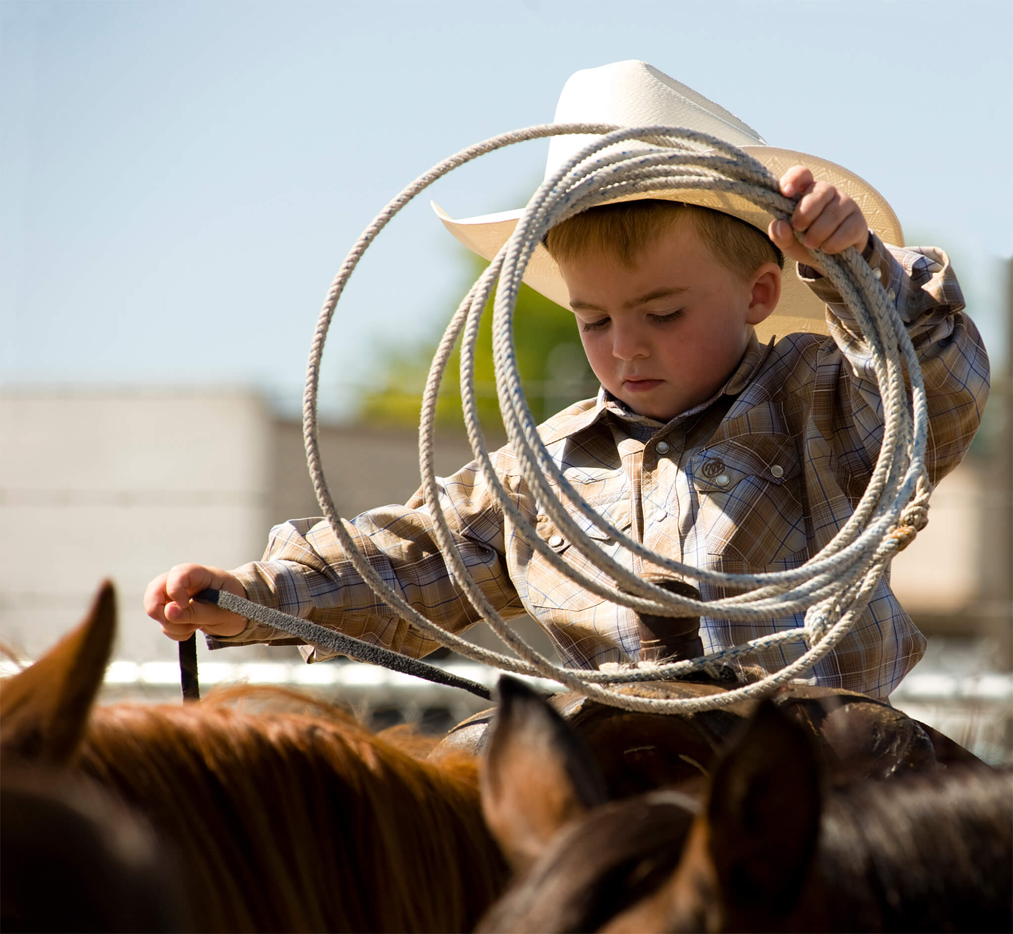 A boy riding a horse with a lasso in his hand.