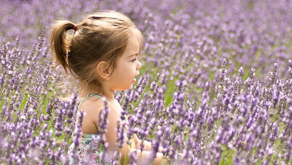 A girl in a lavender field at Nampa's lavender festival.