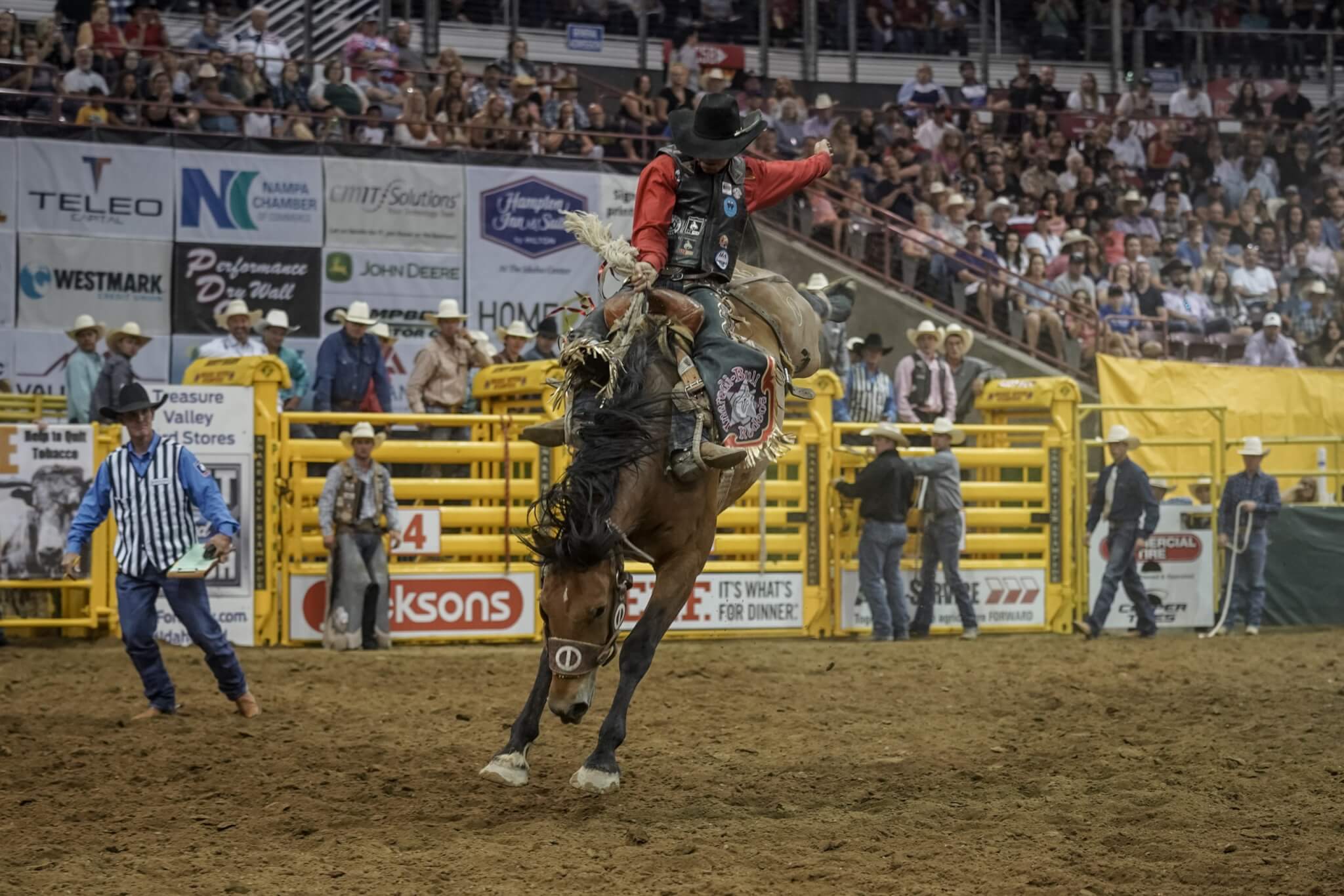 A cowboy riding a bucking horse emerges from the gates at the Snake River Stampede Rodeo.