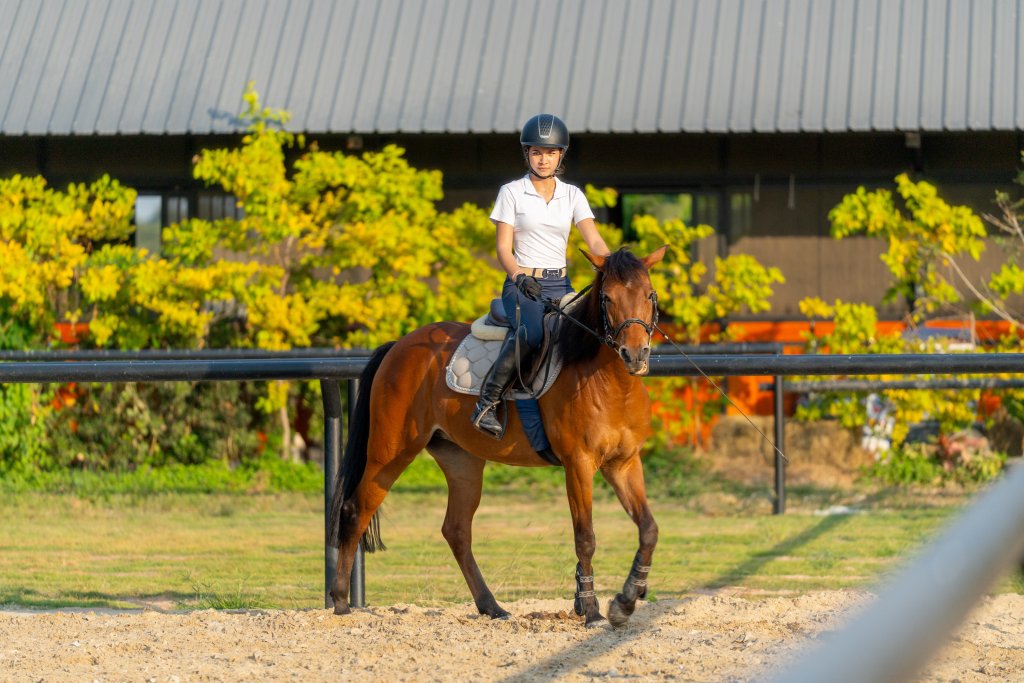 Where to Go Horseback Riding In and Around Nampa
